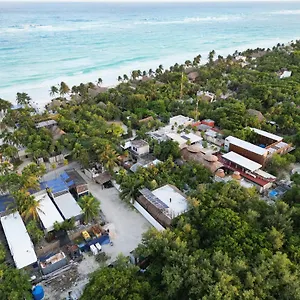 https://amor-rooms.tulum-hotels.net